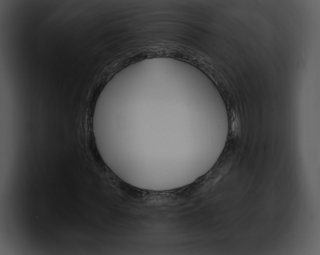 X0000100500819200806130728