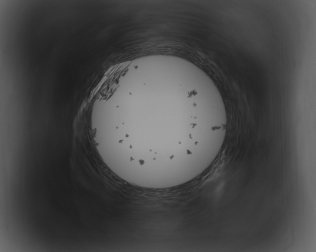 X0000100500820200806130728