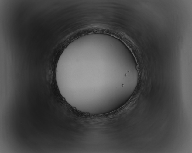 X0000100500821200806130728