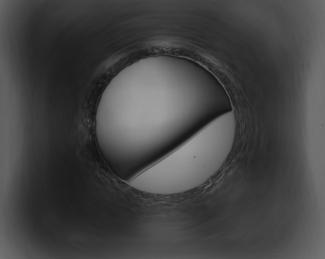 X0000100500822200806130728