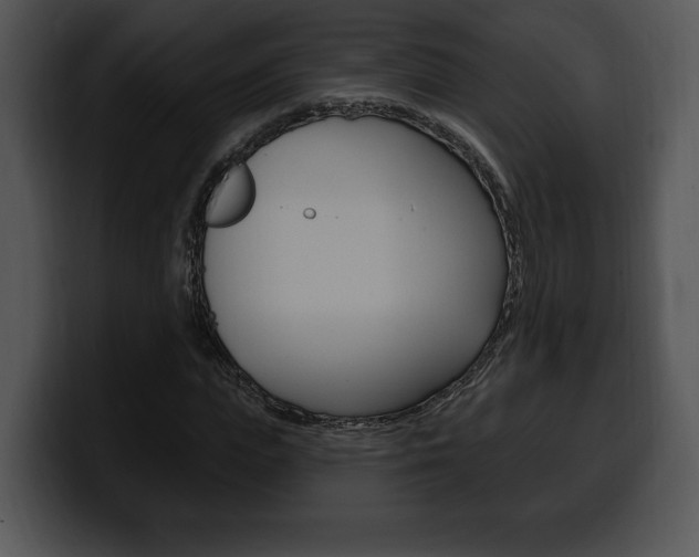 X0000100500823200806130728