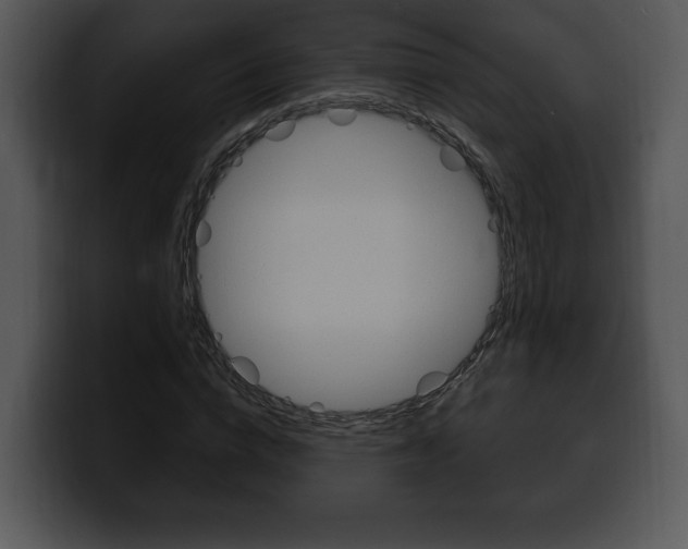 X0000100500824200806130728