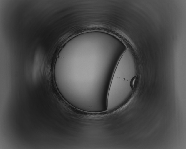 X0000100500825200806130728