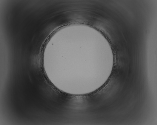 X0000100500828200806130728
