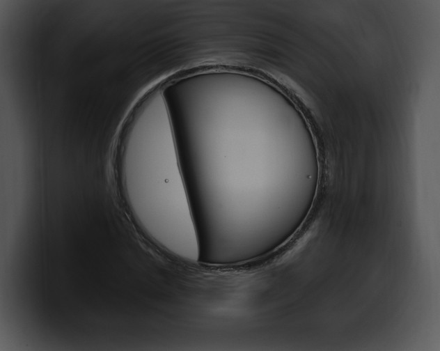 X0000100500830200806130728