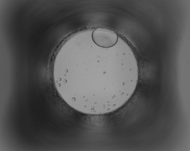 X0000100500832200806130728