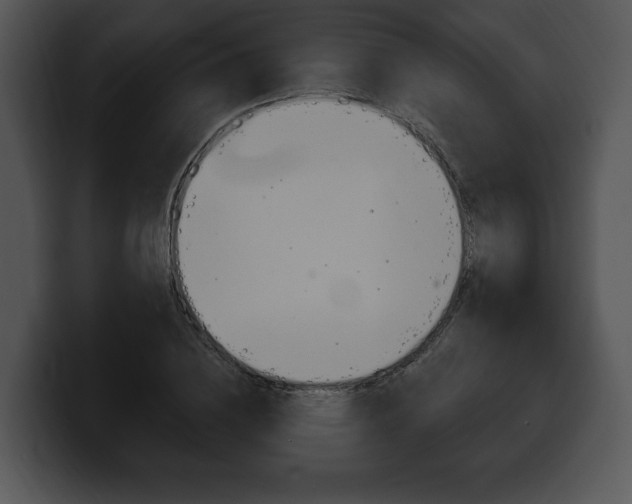 X0000100500836200806130728