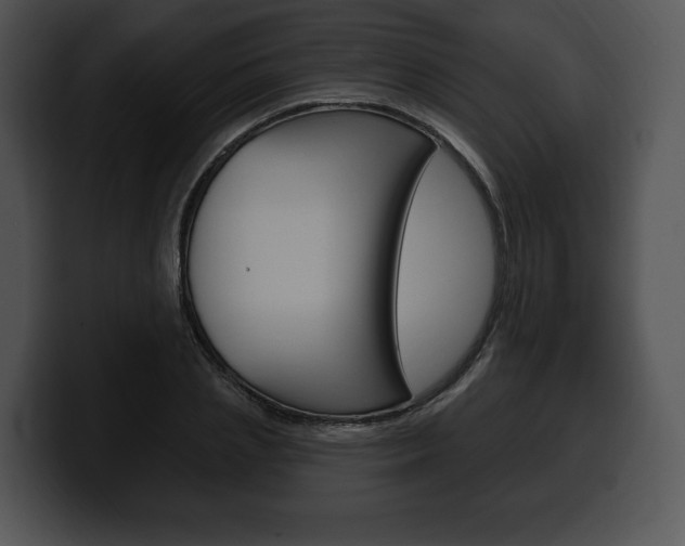 X0000100500837200806130728