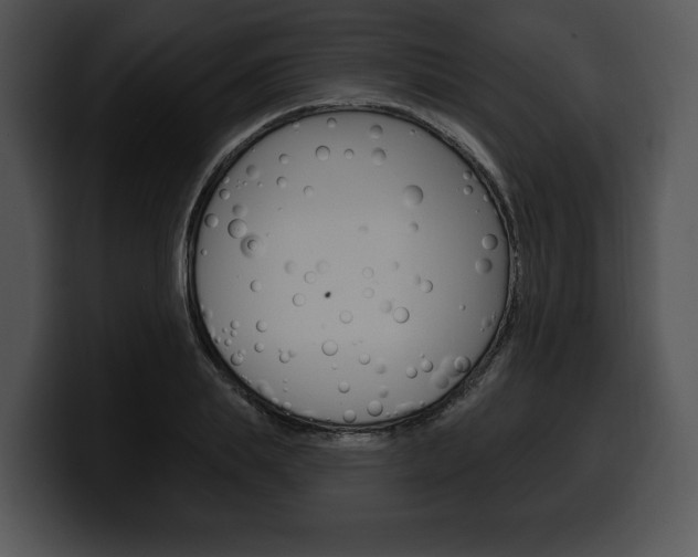 X0000100500839200806130728