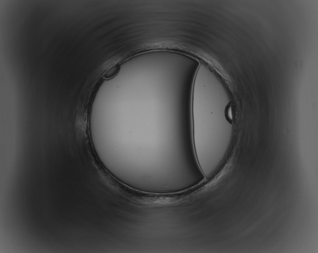 X0000100500841200806130728