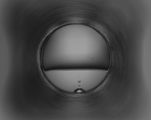 X0000100500843200806130728