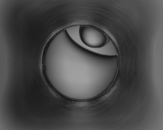 X0000100500845200806130728