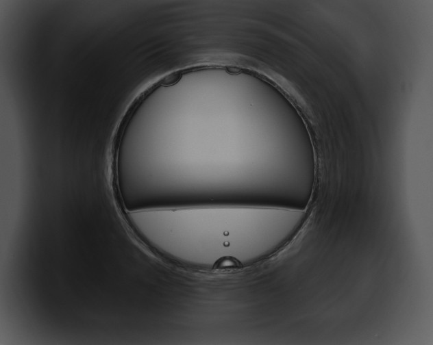 X0000100500846200806130728
