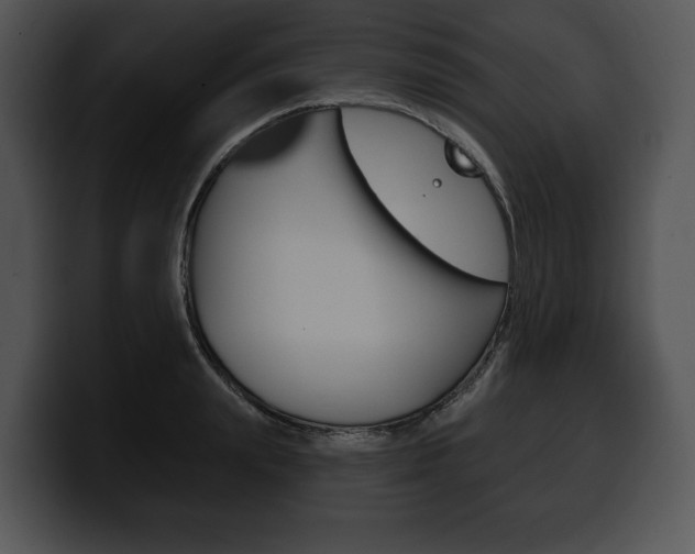 X0000100500847200806130728