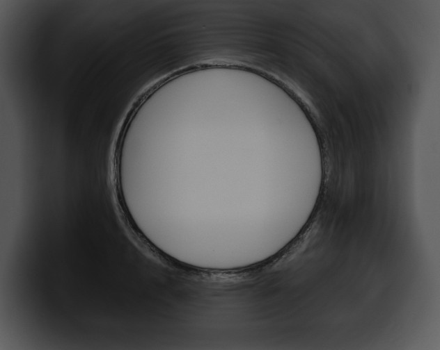 X0000100500848200806130728