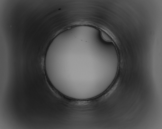 X0000100500849200806130728