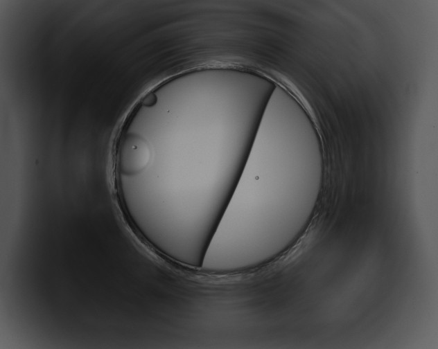 X0000100500851200806130728