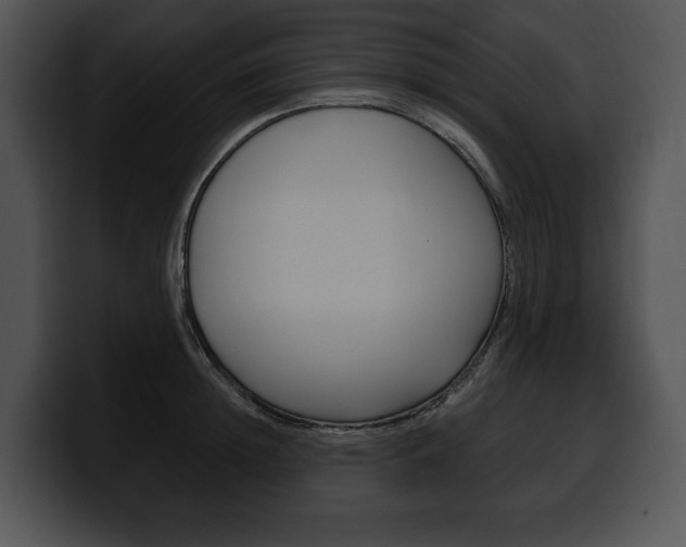 X0000100500852200806130728