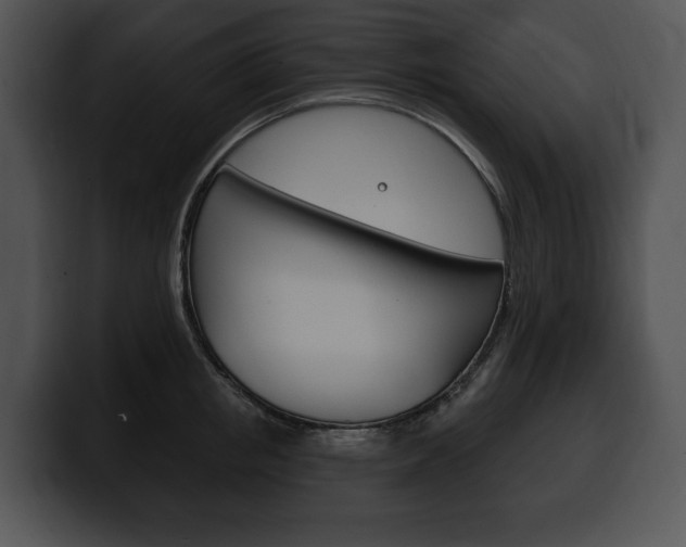 X0000100500853200806130728