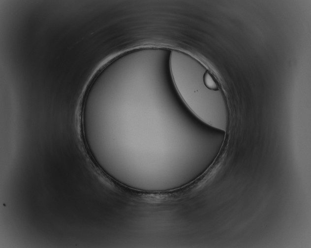 X0000100500854200806130728