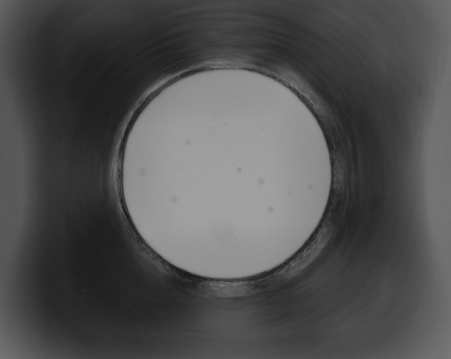 X0000100500856200806130728