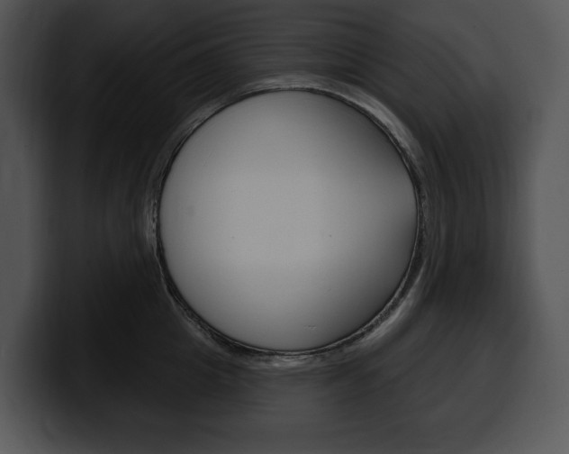 X0000100500857200806130728