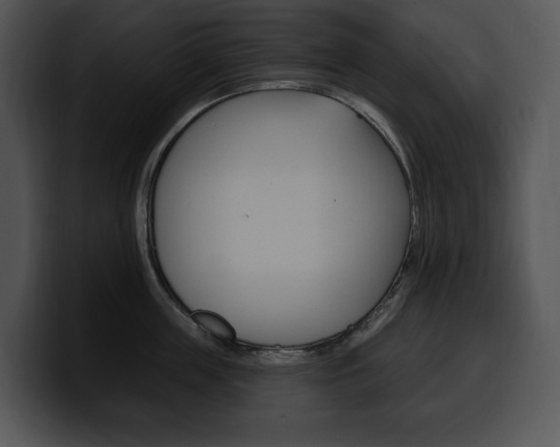 X0000100500859200806130728