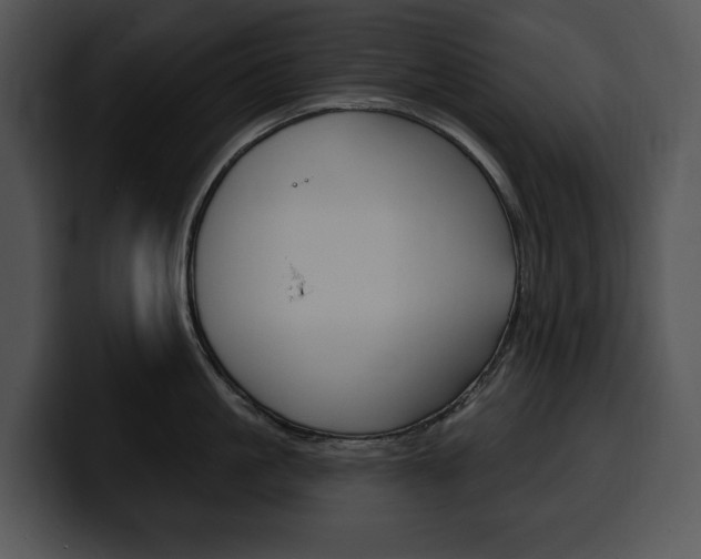 X0000100500861200806130728