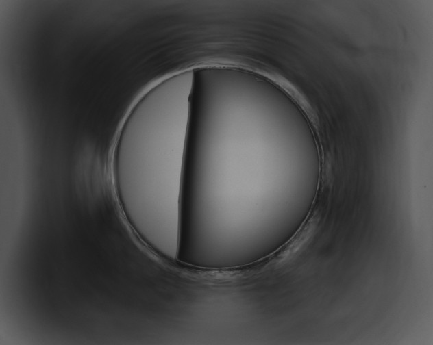 X0000100500862200806130728