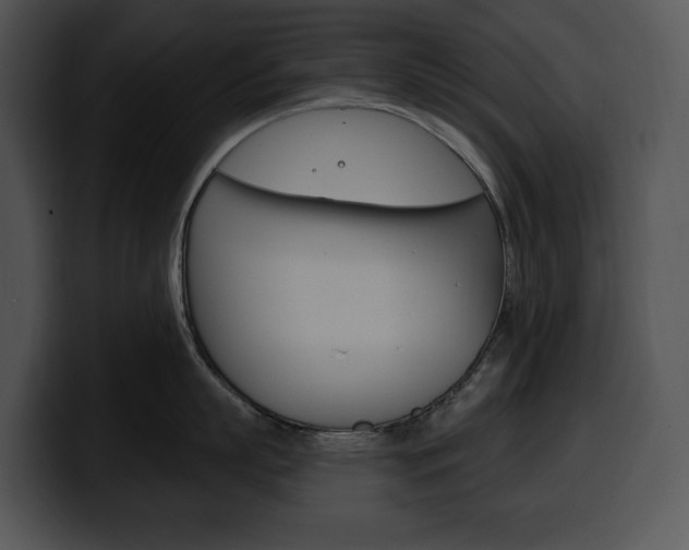 X0000100500863200806130728