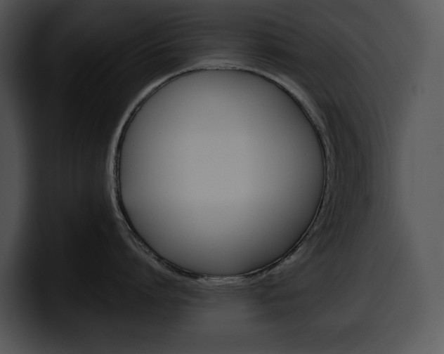 X0000100500864200806130728