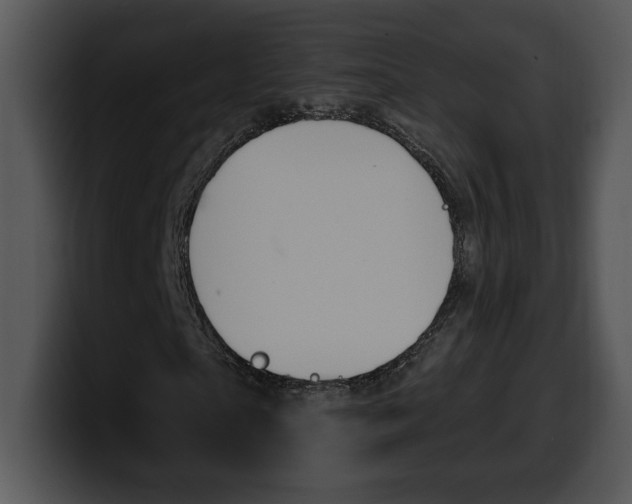 X0000100500865200806130728