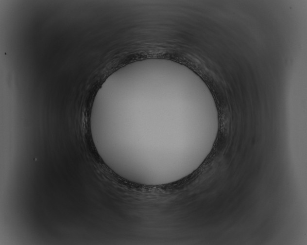 X0000100500866200806130727
