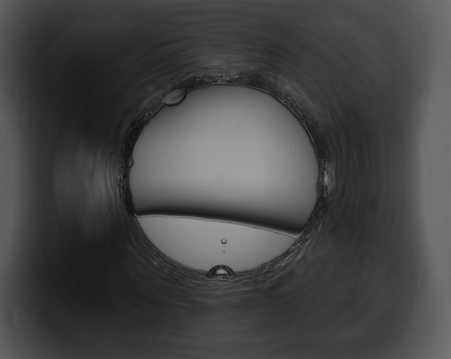 X0000100500867200806130727