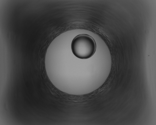 X0000100500868200806130727