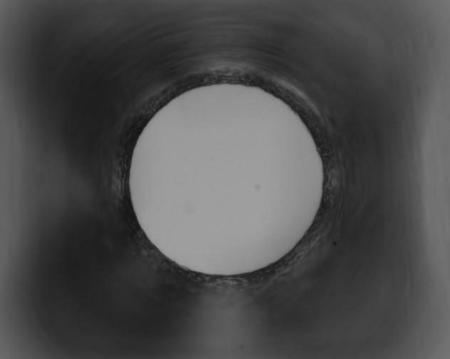 X0000100500869200806130727