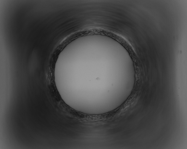 X0000100500871200806130727