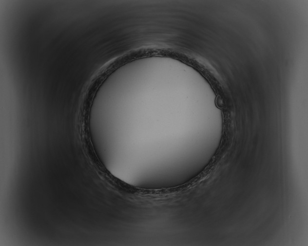 X0000100500872200806130727
