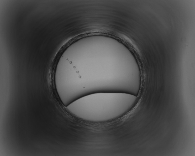 X0000100500875200806130727