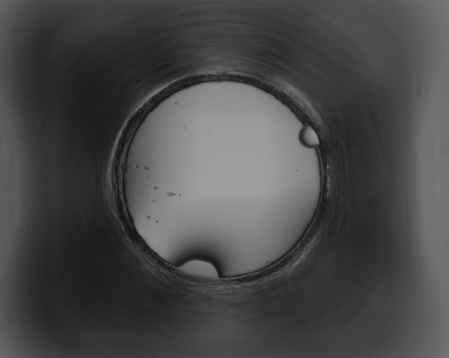 X0000100500876200806130727