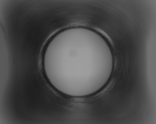 X0000100500878200806130727