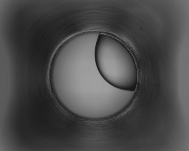 X0000100500880200806130727