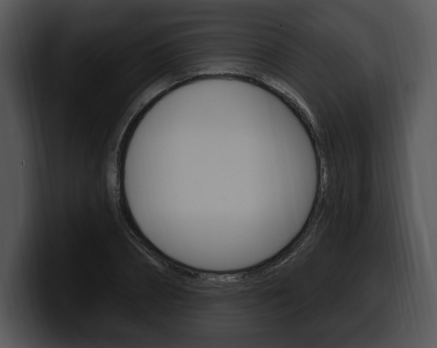 X0000100500882200806130727