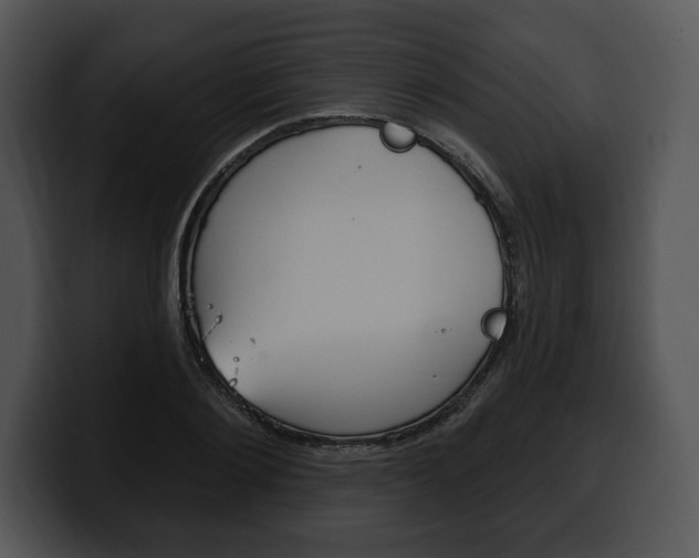 X0000100500884200806130727