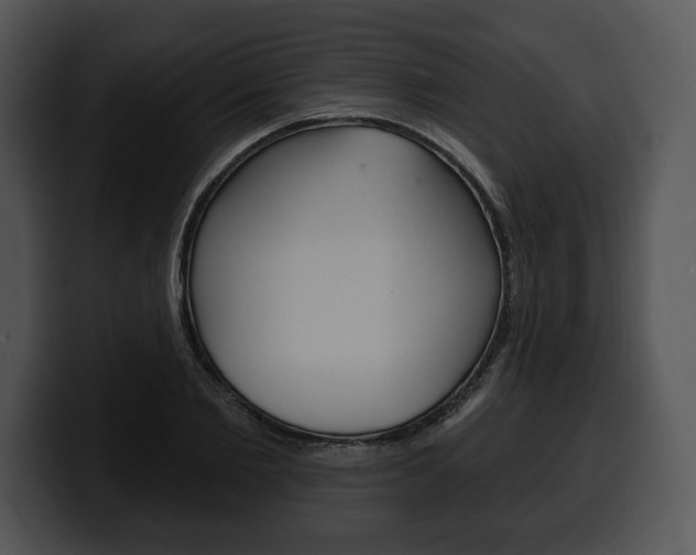 X0000100500885200806130727