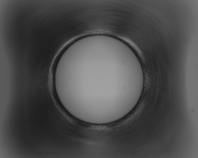 X0000100500886200806130727
