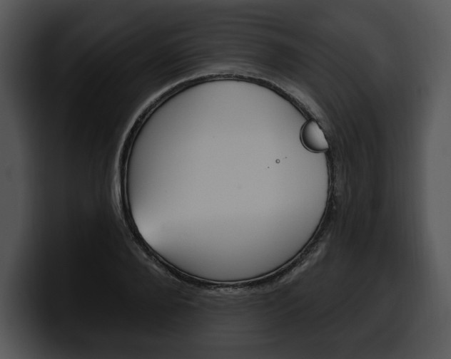 X0000100500888200806130727