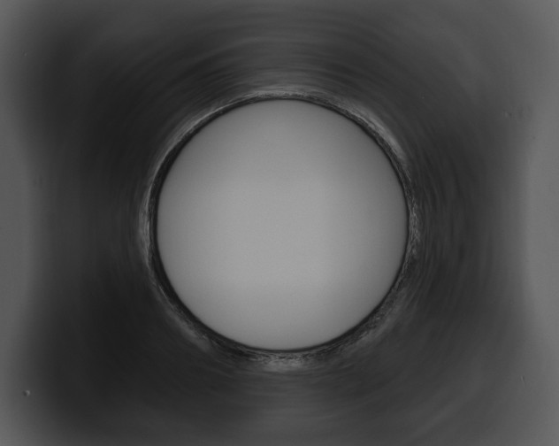 X0000100500890200806130727