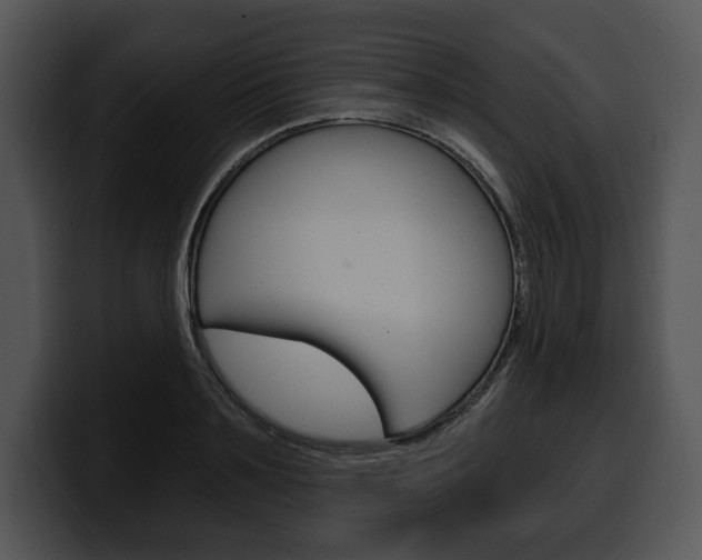 X0000100500891200806130727