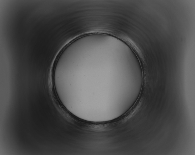 X0000100500892200806130727
